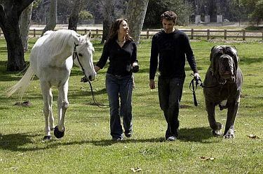 Zorba (dog) while walking with two people (girl and boy) and a white horse outdoors