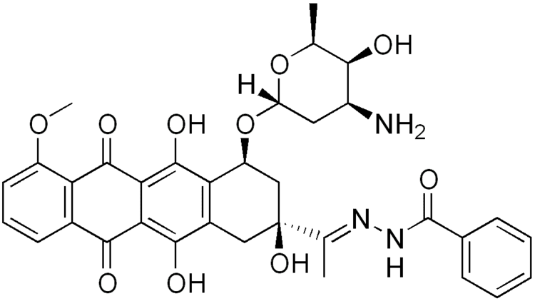 Zorubicin