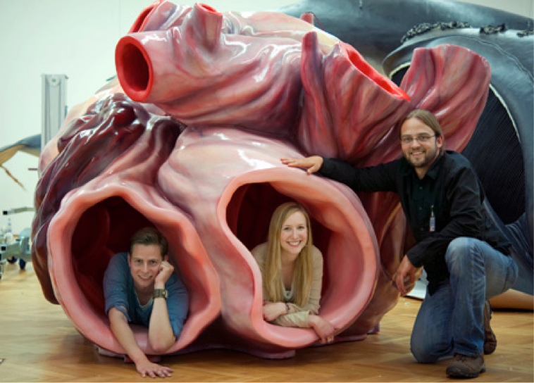 The Biggest Heart Ever Preserved The Biggest Heart Ever Preserved