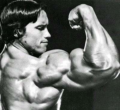 The Professional Bodybuilder of Century Mr Universe ARNOLD SCHWARZENEGGER The Professional Bodybuilder of Century Mr Universe ARNOLD SCHWARZENEGGER