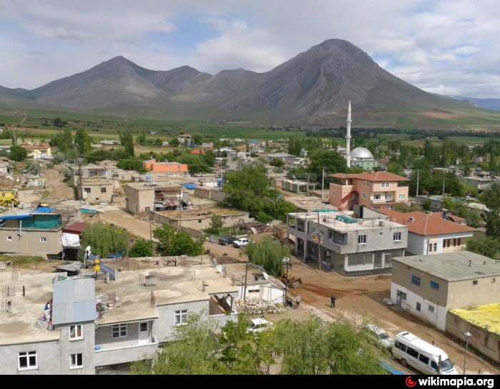İğde photoswikimapiaorgp0003499549bigjpg