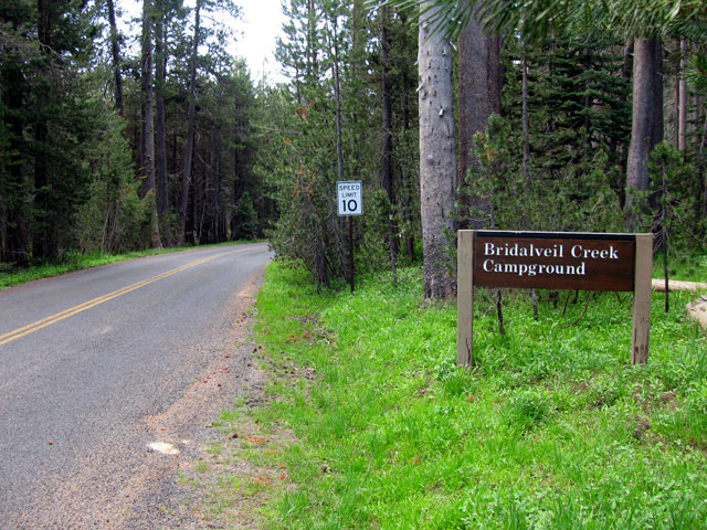 Bridalveil Creek Campground wwwitodacomphotosyosemiteBridalveilCreekCampg