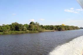 San Salvador River (Uruguay) wwwnavegandoelrionegrocomarDSC00745JPG