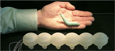 http://www.technovelgy.com/graphics/content07/biomimetic-soft-body-robots.jpg